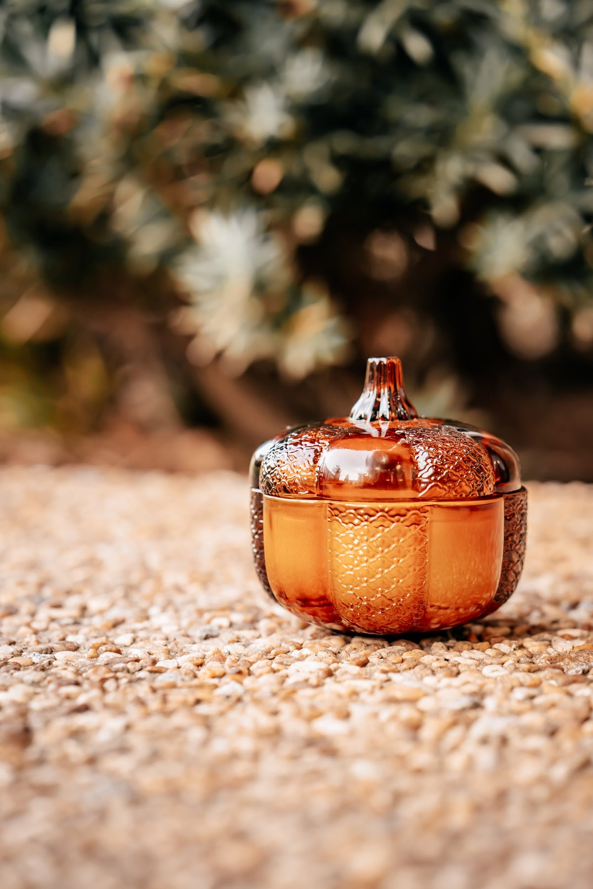 Pumpkin Pecan Waffle Espresso Coffee Candle | Limited Edition